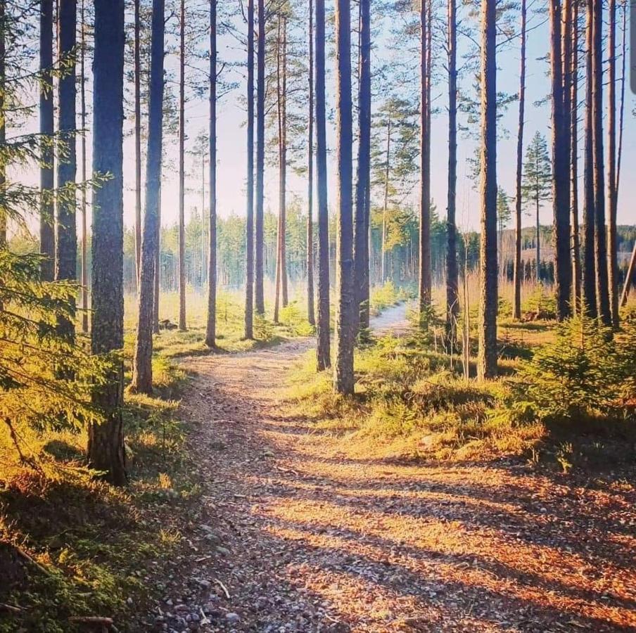Mysig Timmerstuga Med Braskamin Naera Hovfjaellet Torsby Exterior photo